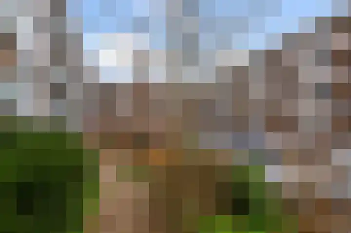 Vestaplein 32 Wormerveer thumbnail 4
