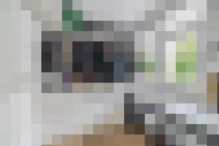 Vestaplein 46 Wormerveer thumbnail 18