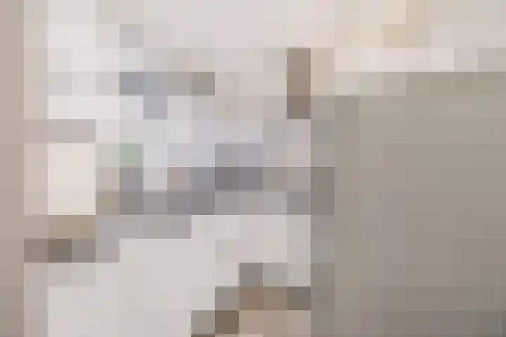 Vestaplein 5 Wormerveer thumbnail 14