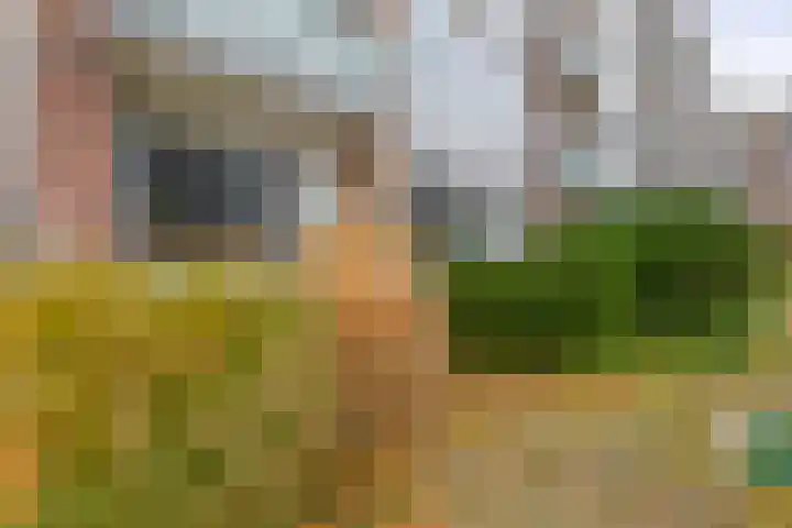 Vestaplein 5 Wormerveer thumbnail 24