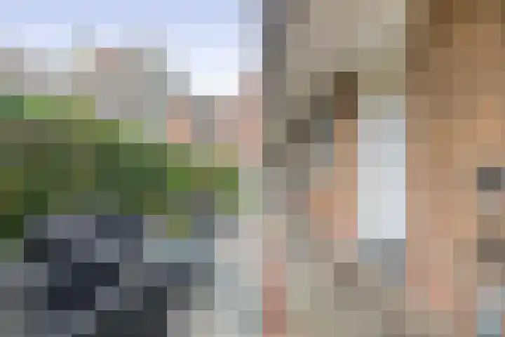 Vestaplein 5 Wormerveer thumbnail 25