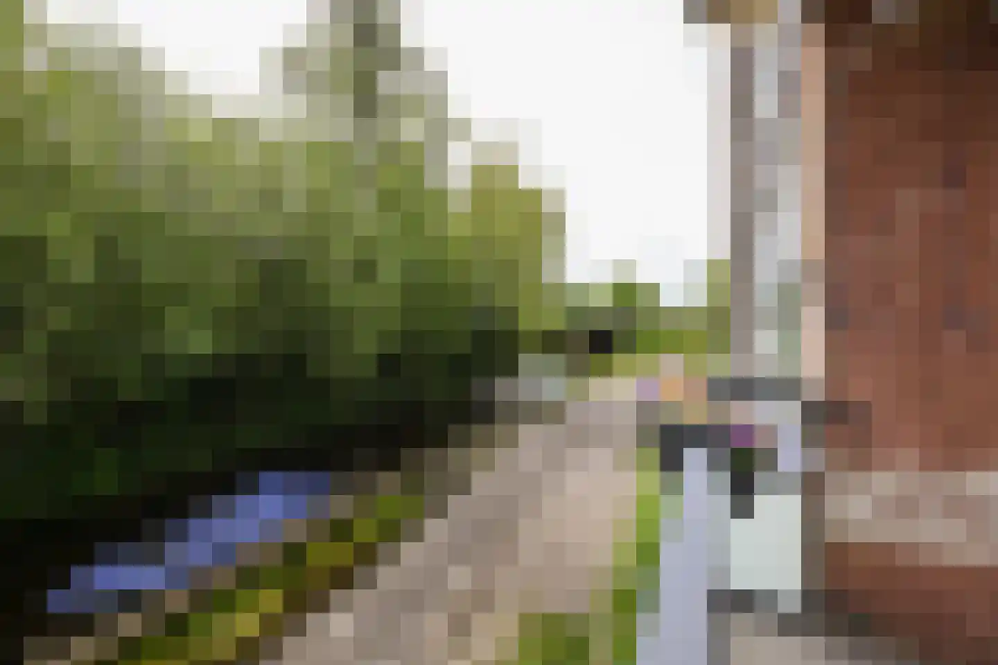 Vestaplein 50 Wormerveer thumbnail 23
