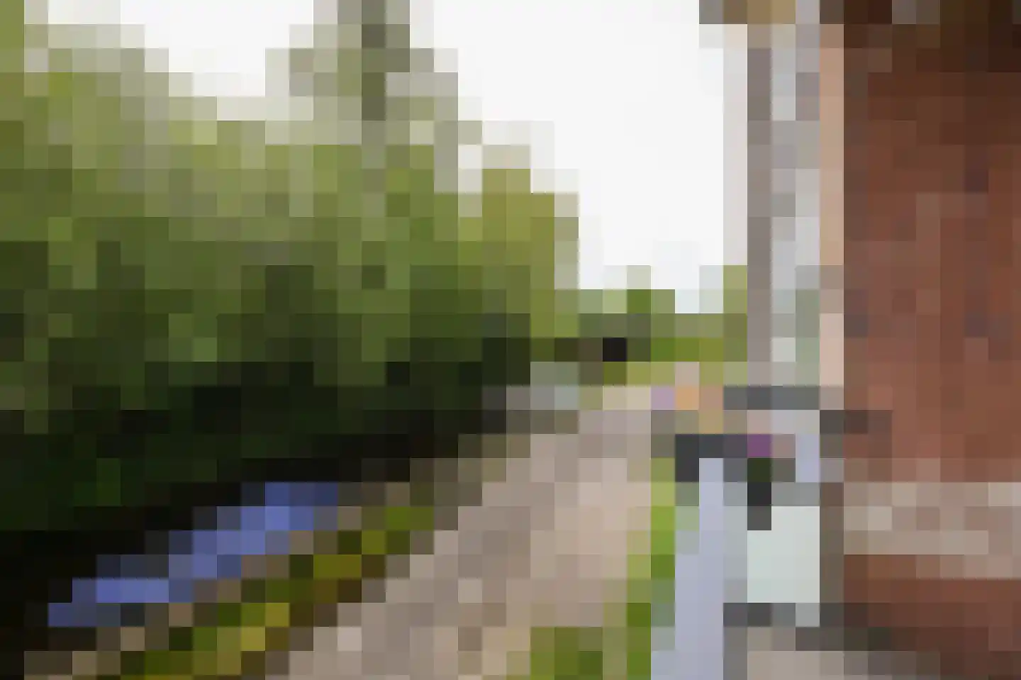 Vestaplein 50 Wormerveer thumbnail 23