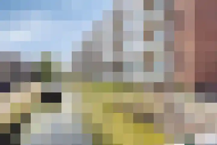 Vestaplein 55 Wormerveer thumbnail 25