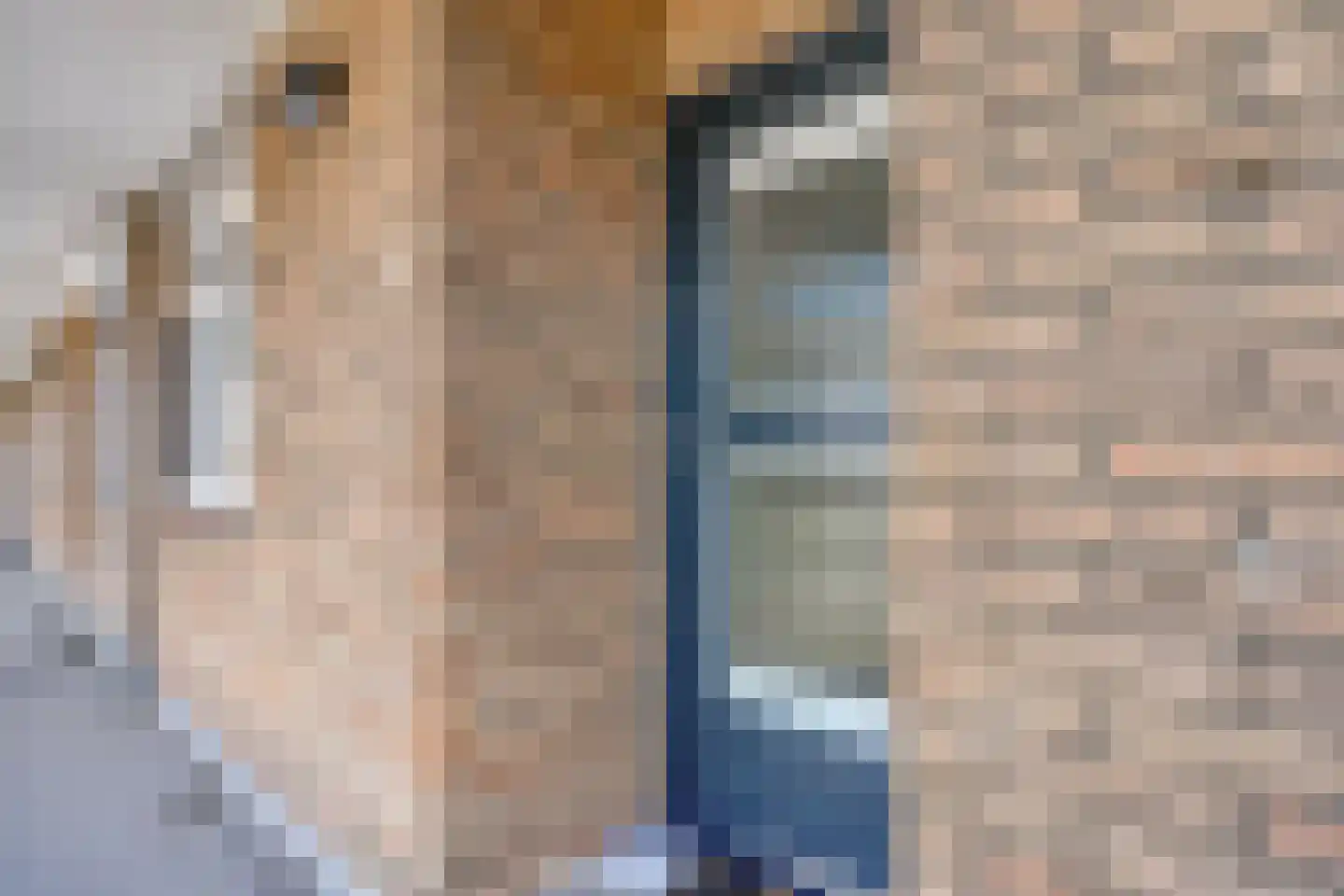 Vestaplein 65 Wormerveer thumbnail 10