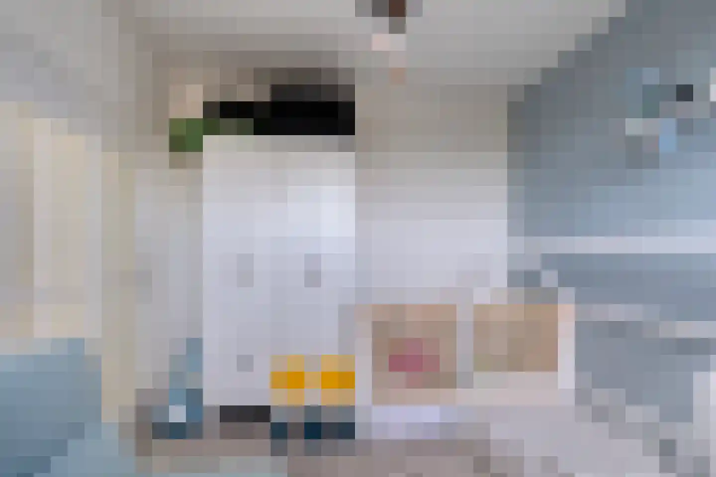Vestaplein 65 Wormerveer thumbnail 28