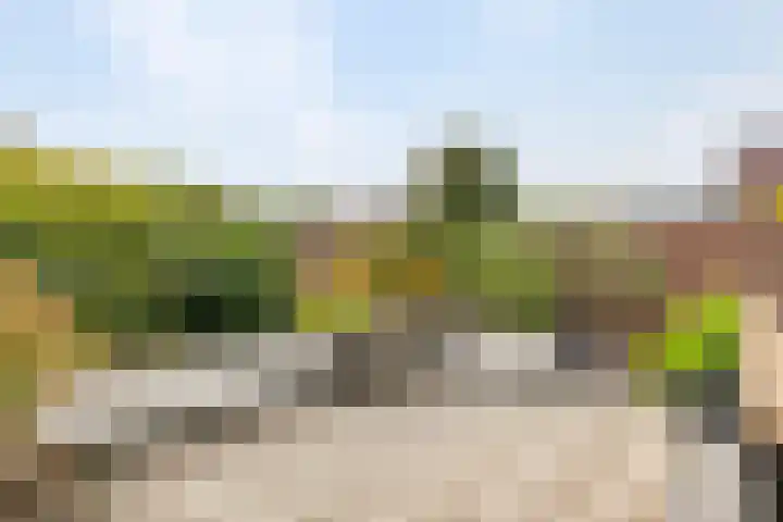 Vestdijk 116 Eindhoven thumbnail 30