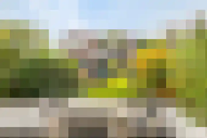 Vestdijk 116 Eindhoven thumbnail 32