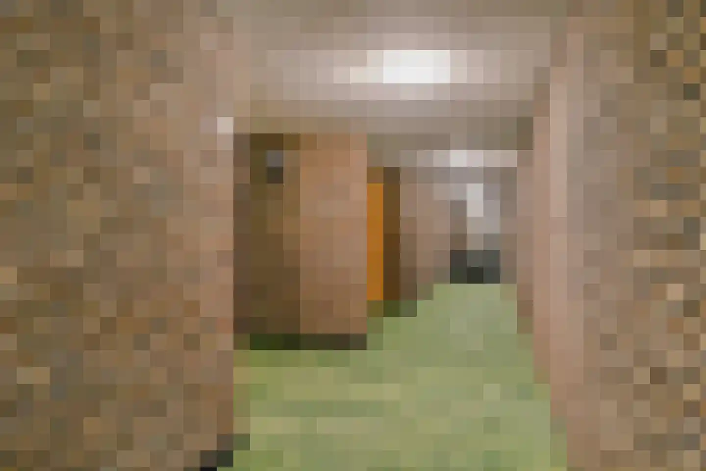 Vestdijk 116 Eindhoven thumbnail 35