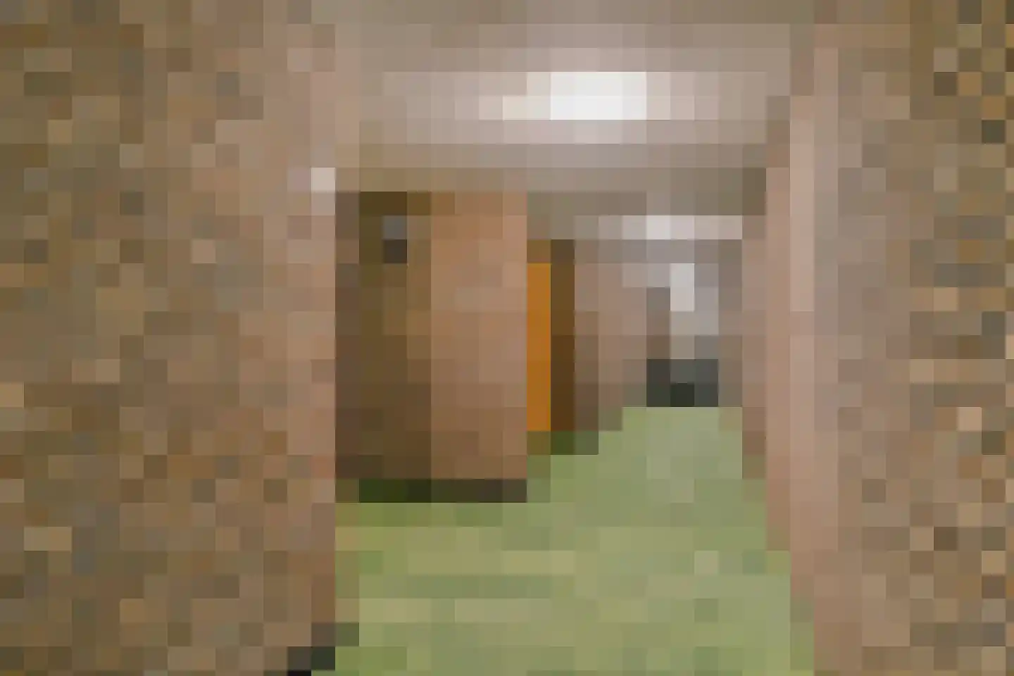 Vestdijk 116 Eindhoven thumbnail 35