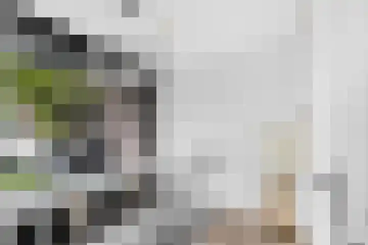 Vestdijk 140 Eindhoven thumbnail 10