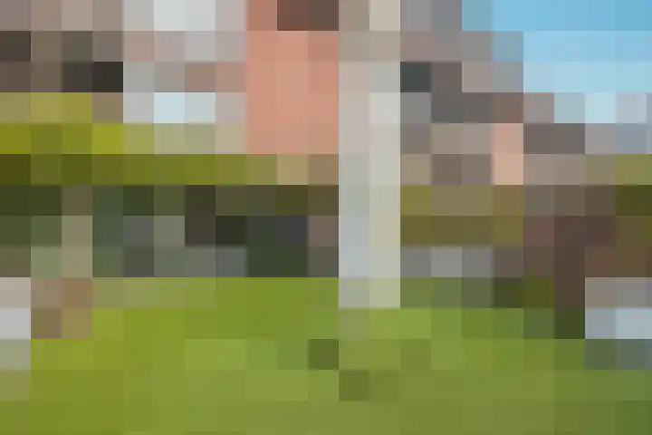 Vestdijk 140 Eindhoven thumbnail 27