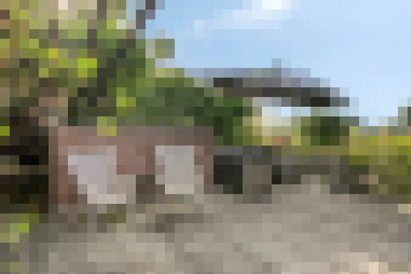 Vestdijk 142 Eindhoven thumbnail 33