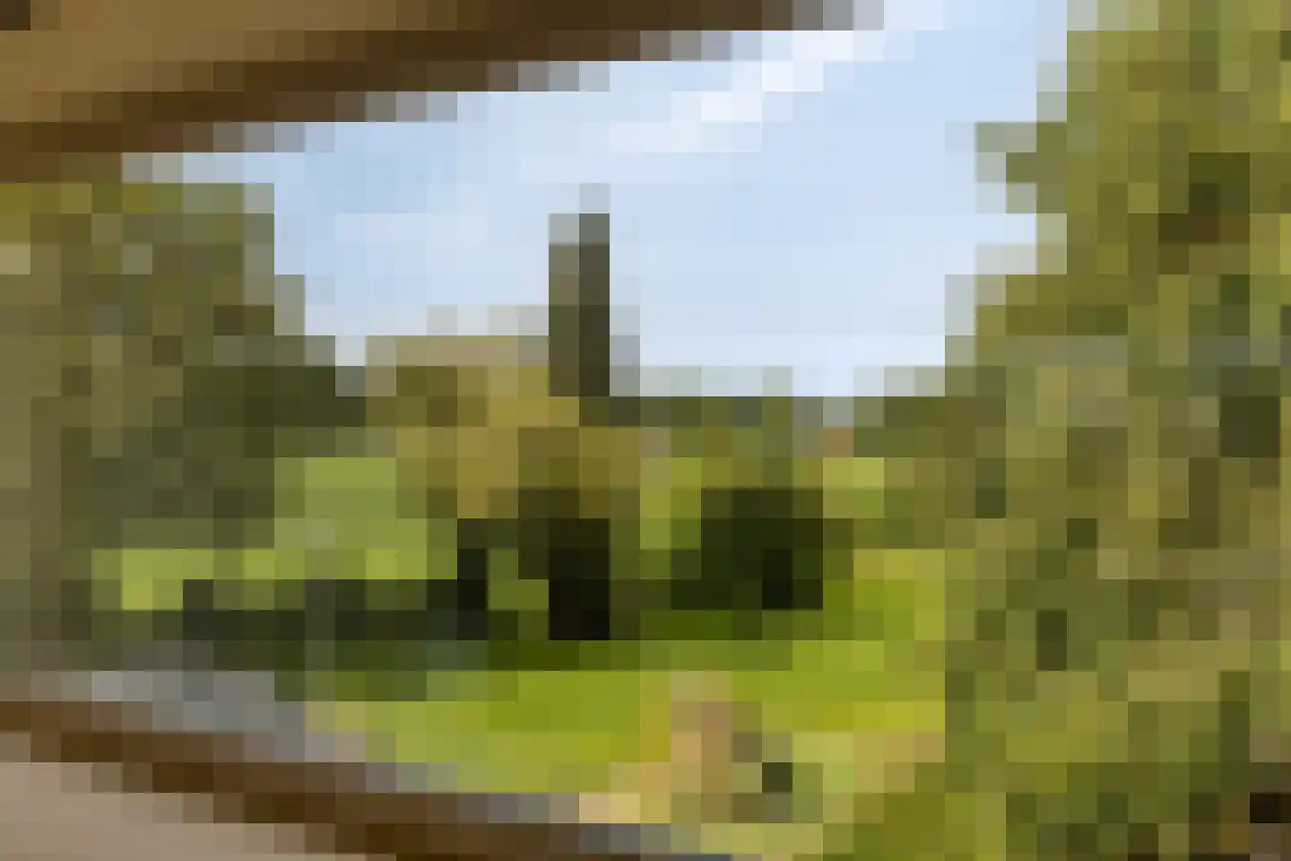 Vestdijkgaarde 55 Deventer thumbnail 26