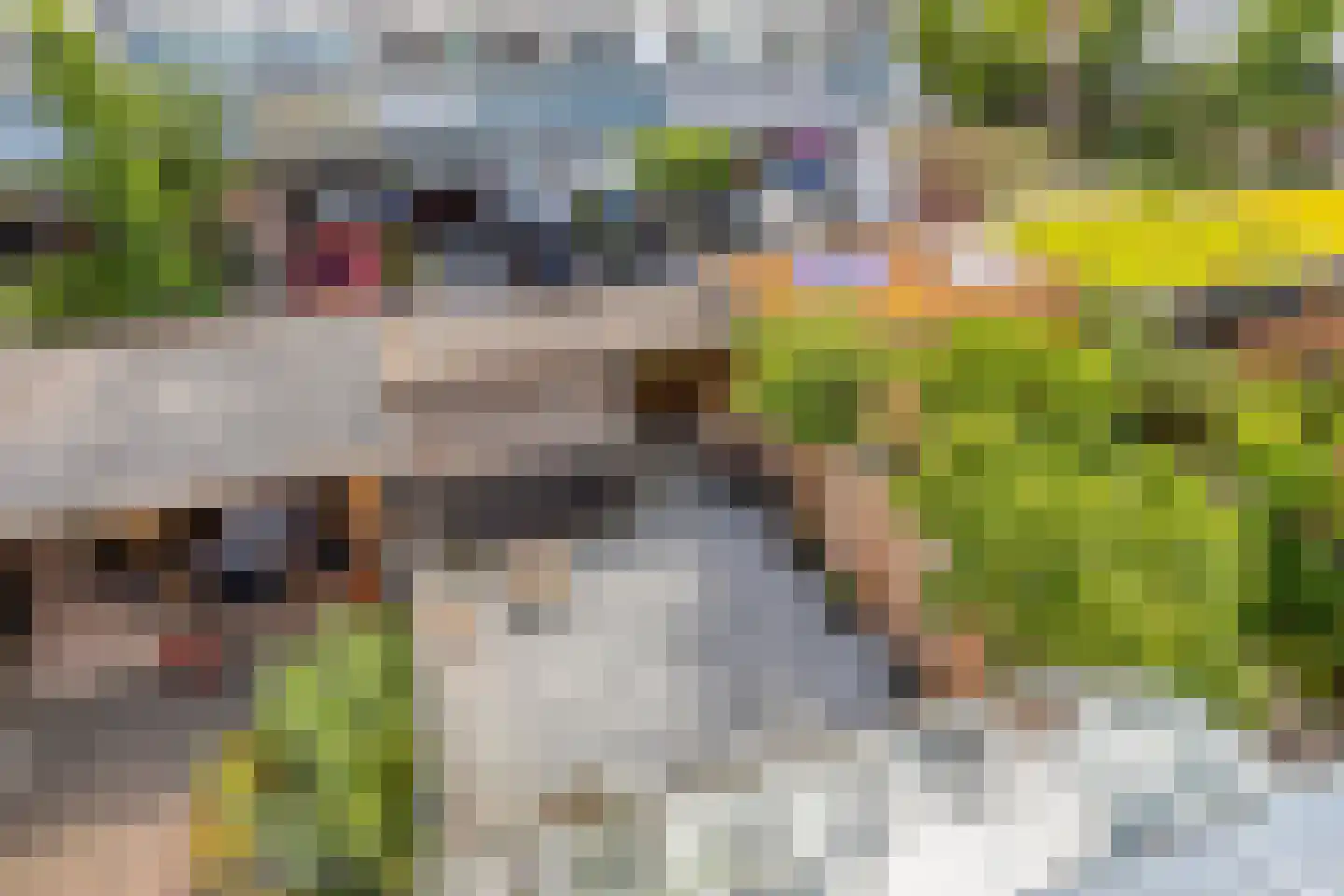 Vestdijkgaarde 55 Deventer thumbnail 31