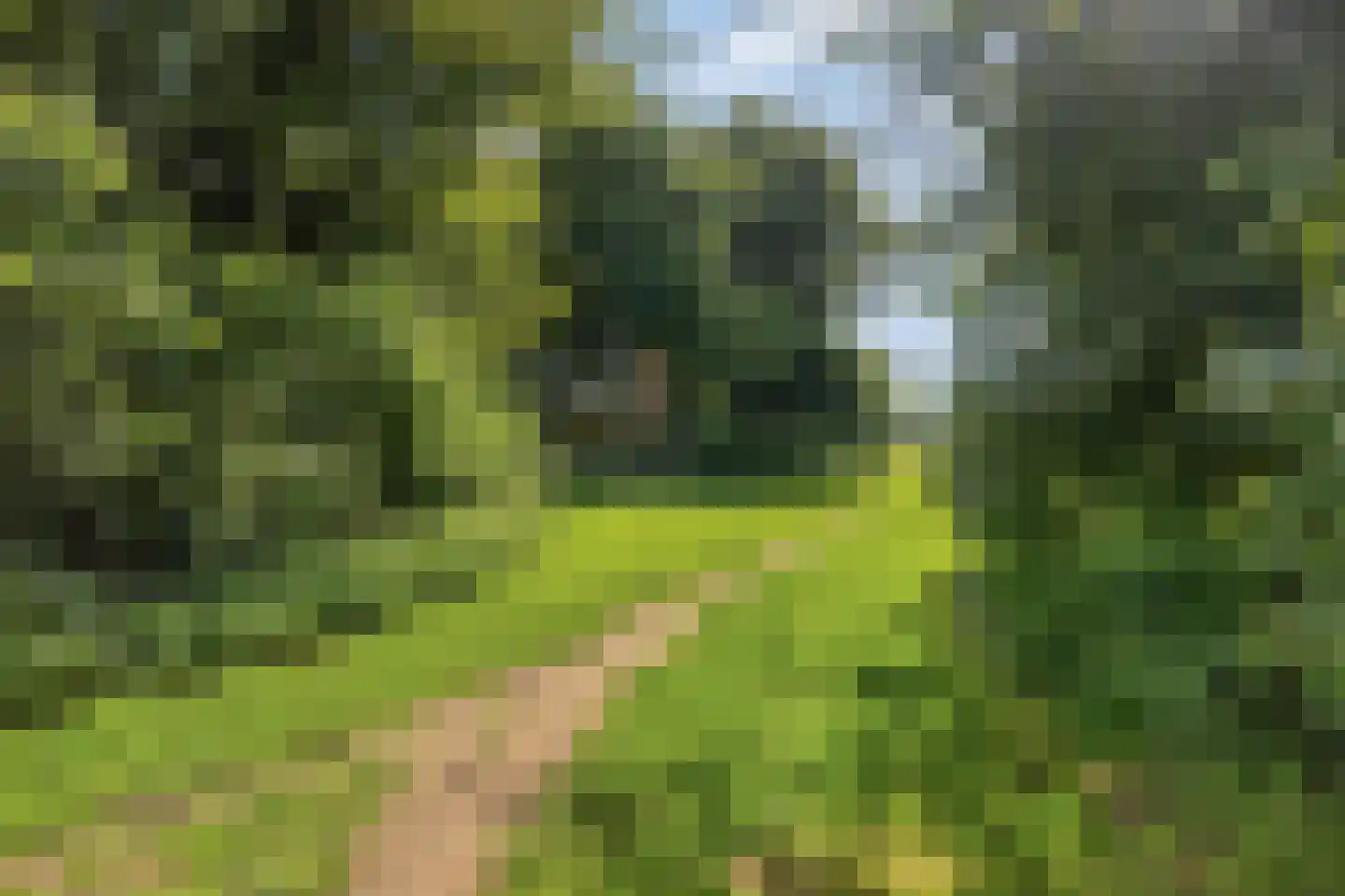 Vestdijkgaarde 55 Deventer thumbnail 39