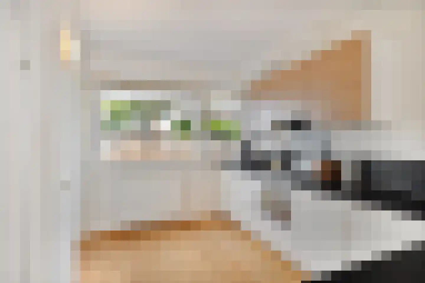Vestdijkgaarde 55 Deventer thumbnail 7
