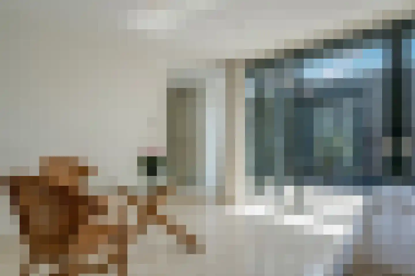 Vestdijkhof 5 Steenwijk thumbnail 12