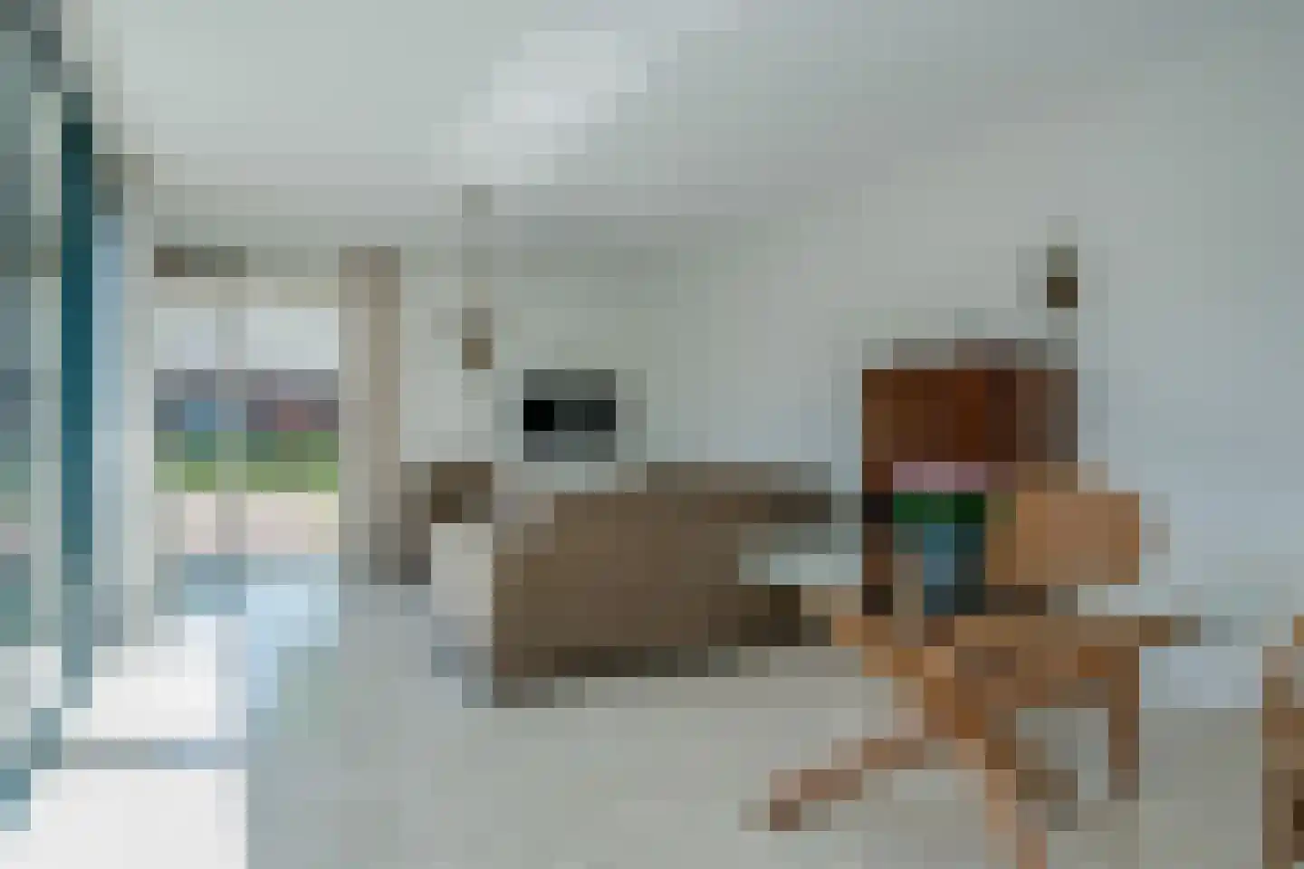 Vestdijkhof 5 Steenwijk thumbnail 14