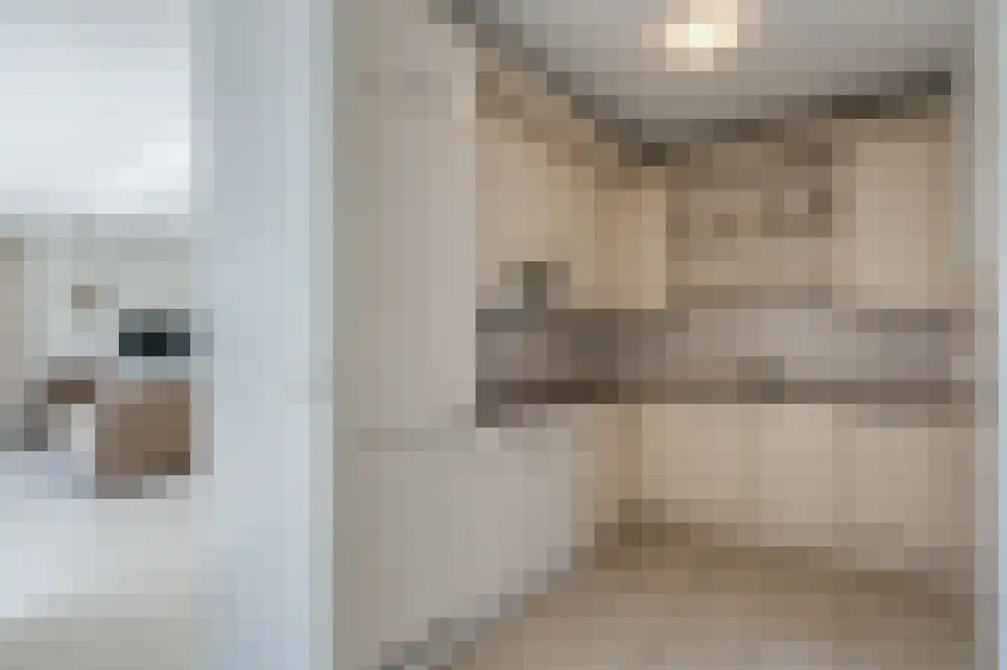 Vestdijkhof 5 Steenwijk thumbnail 15