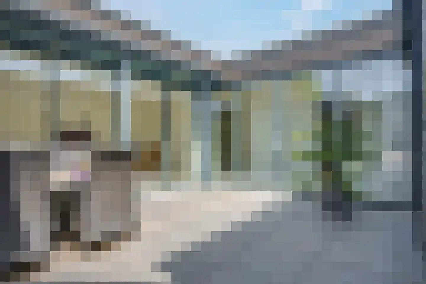 Vestdijkhof 5 Steenwijk thumbnail 28