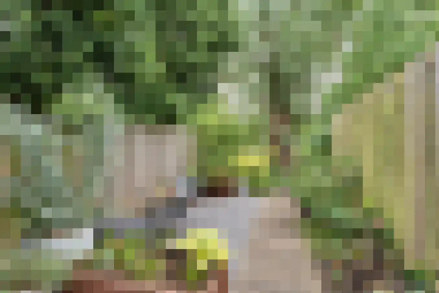 Vestdijkhove 14 Zoetermeer thumbnail 28