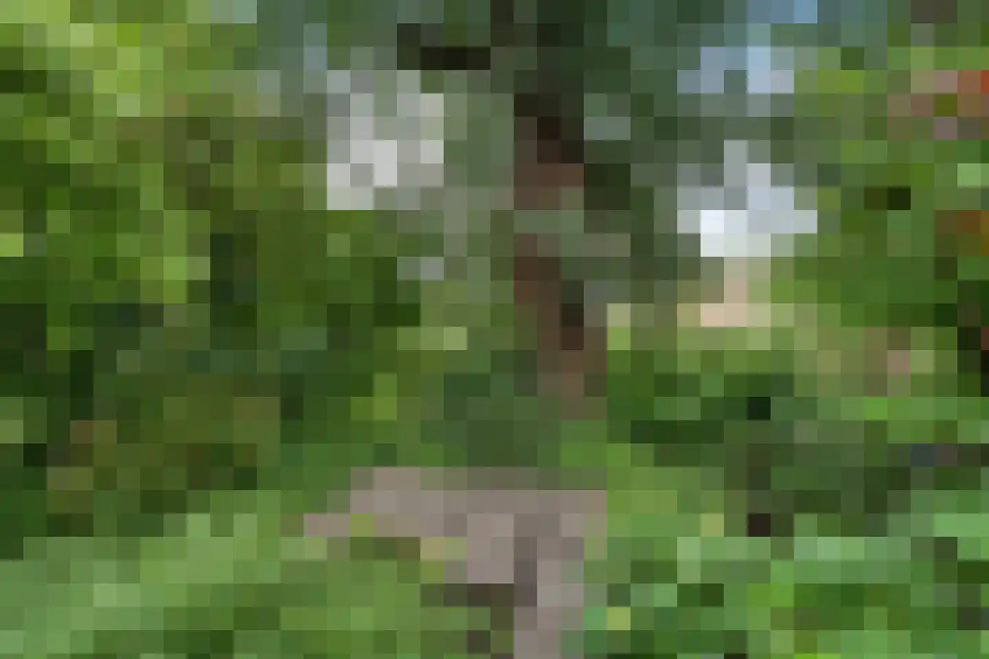 Vestdijkhove 14 Zoetermeer thumbnail 30