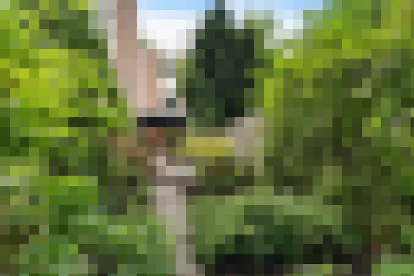 Vestdijkhove 14 Zoetermeer thumbnail 31