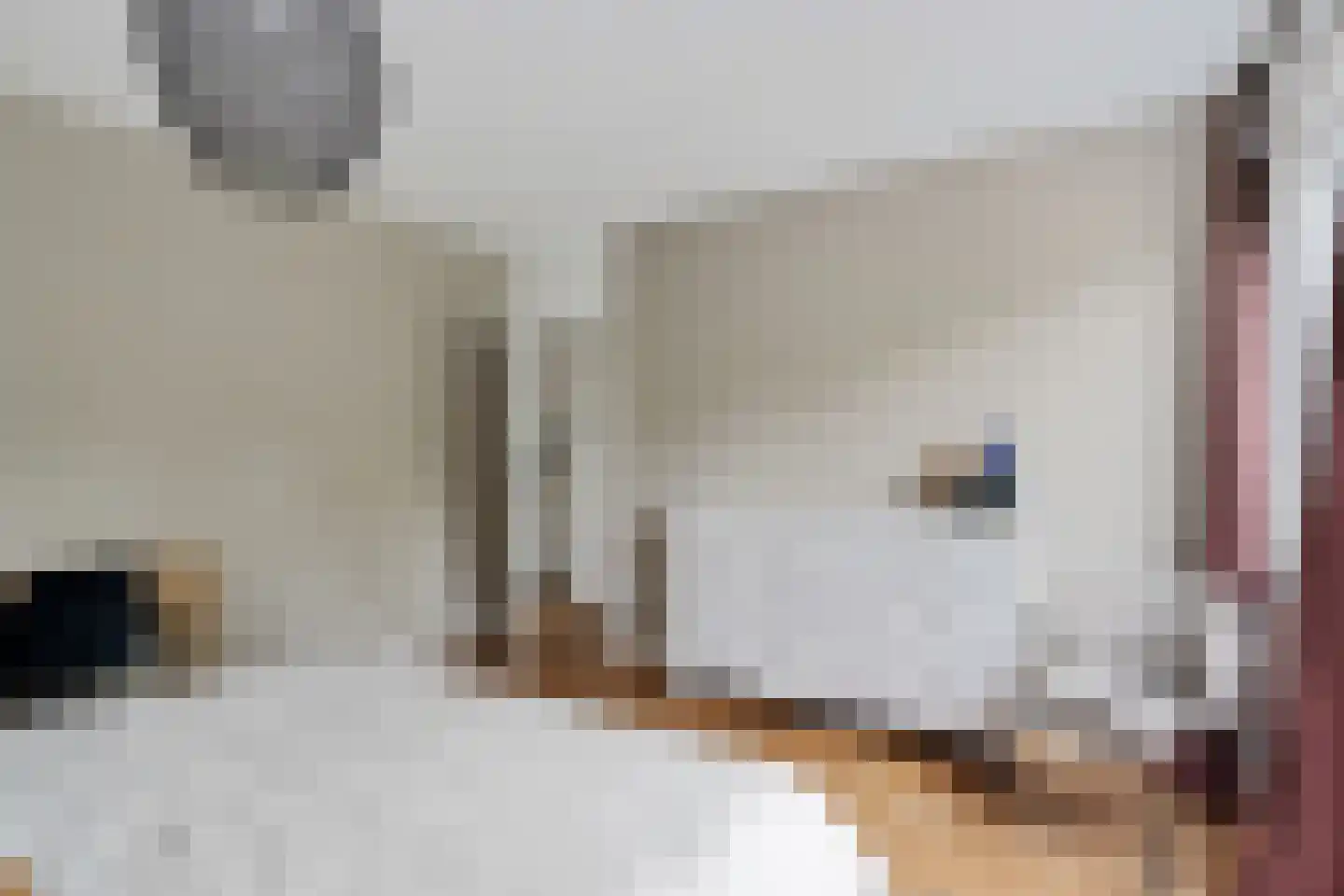 Vestdijkhove 14 Zoetermeer thumbnail 36