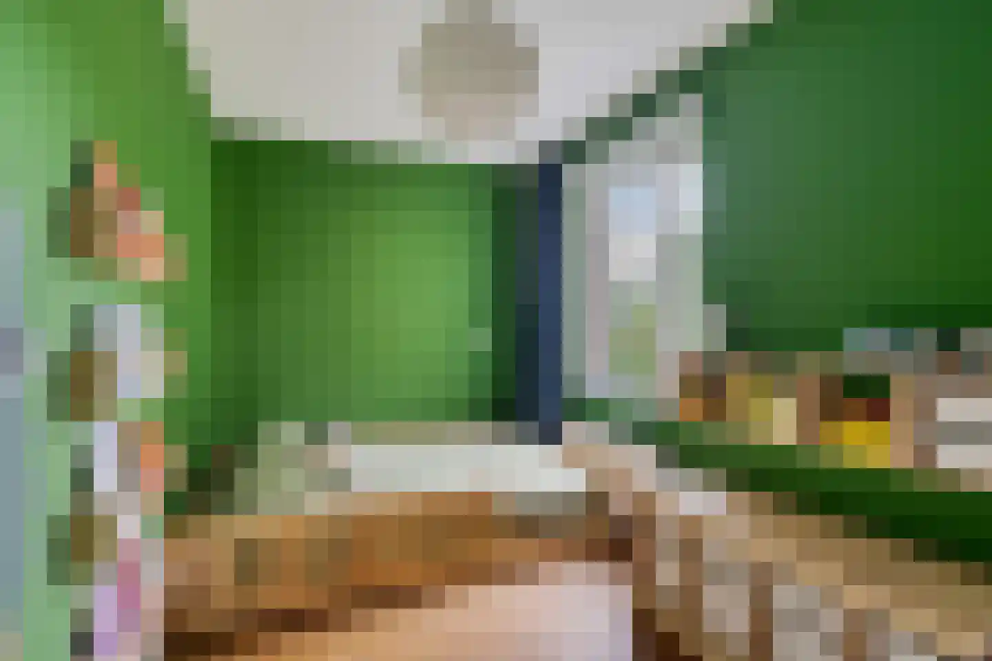 Vestdijkhove 14 Zoetermeer thumbnail 37