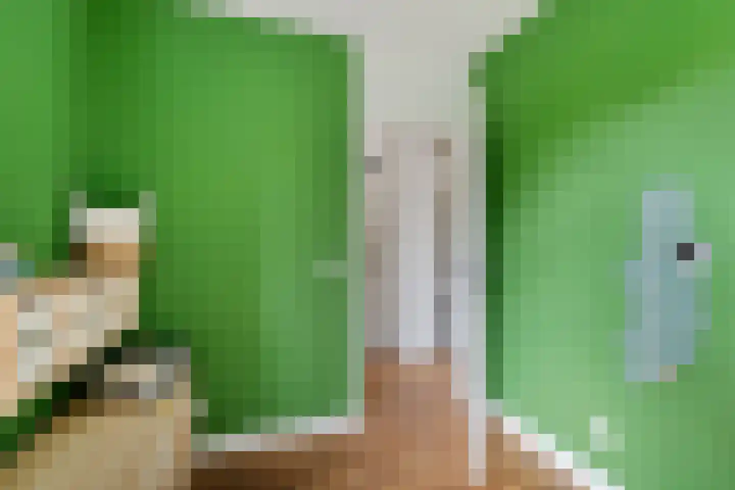 Vestdijkhove 14 Zoetermeer thumbnail 38