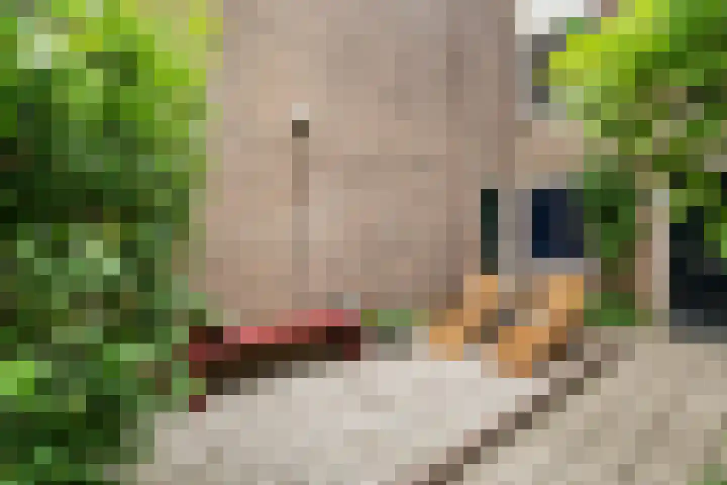 Vestdijkhove 14 Zoetermeer thumbnail 7