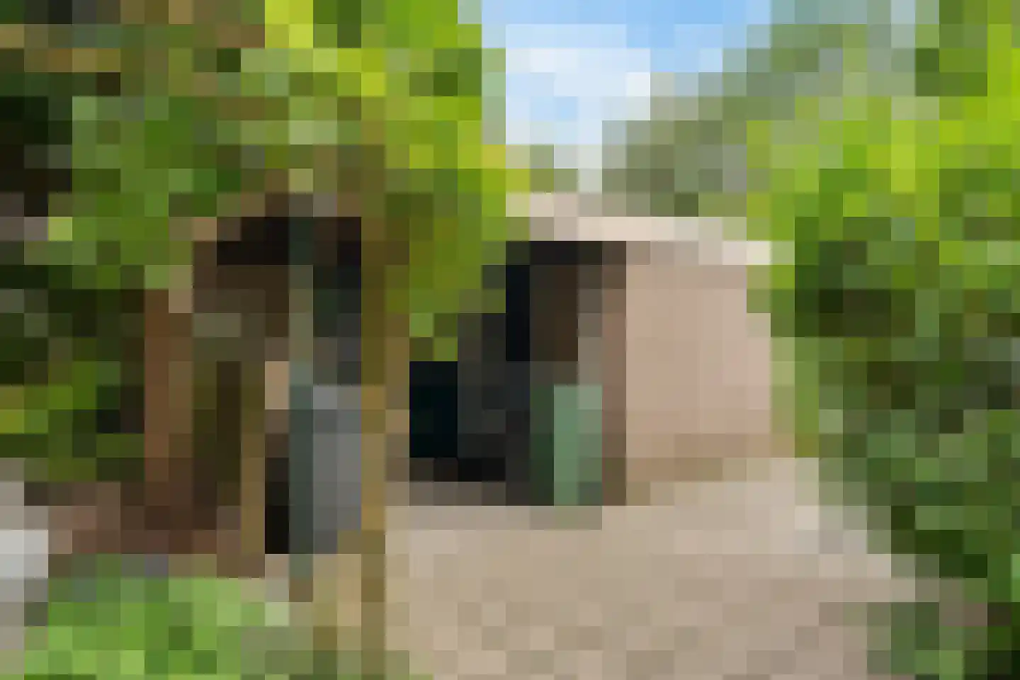 Vestdijkhove 14 Zoetermeer thumbnail 8