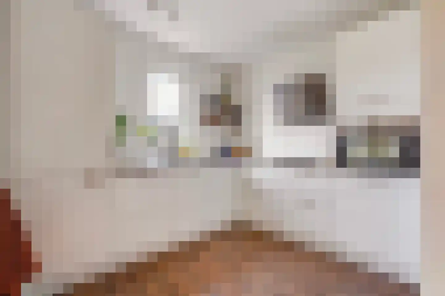 Vestdijkhove 21 Zoetermeer thumbnail 10