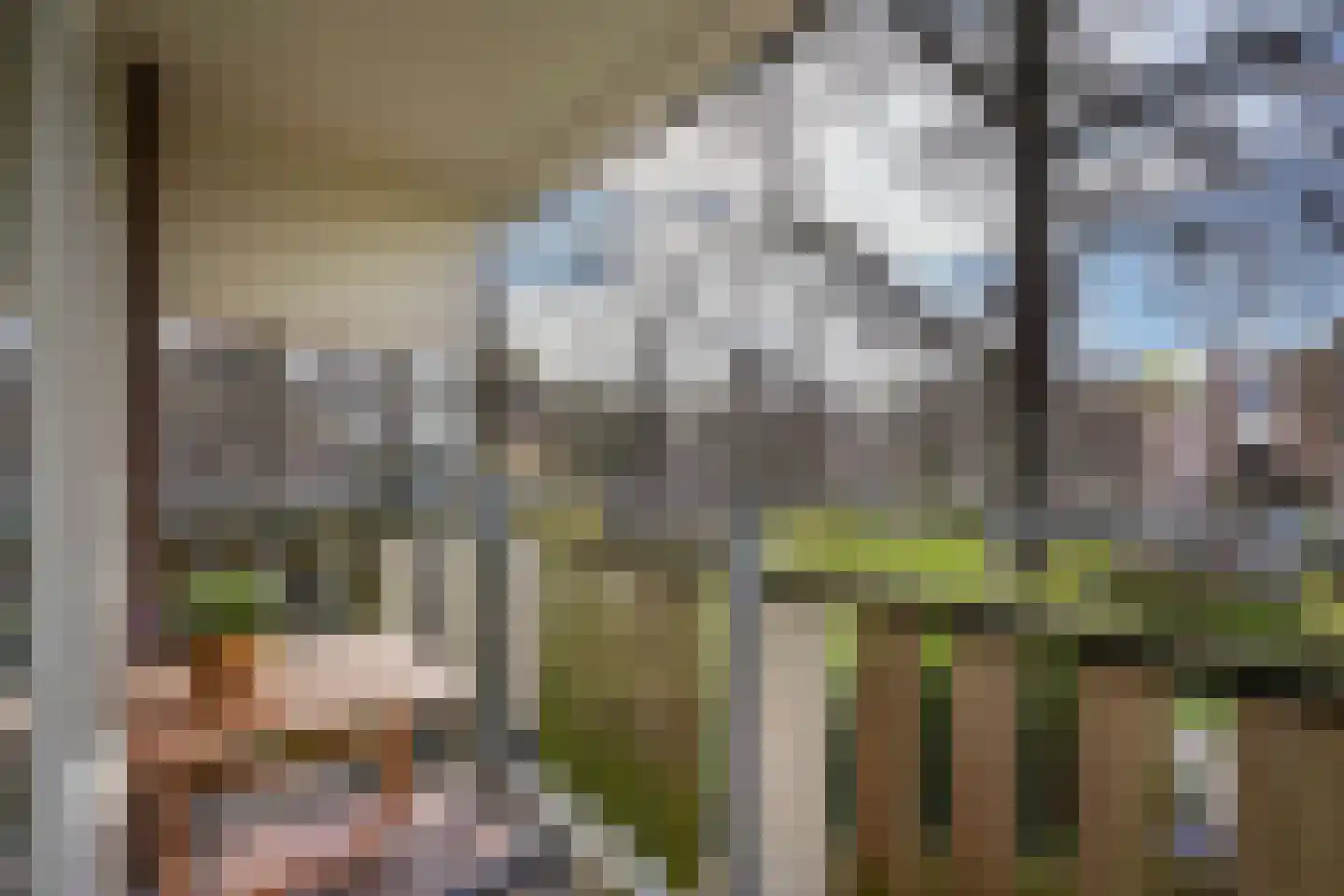 Vestdijkhove 21 Zoetermeer thumbnail 13