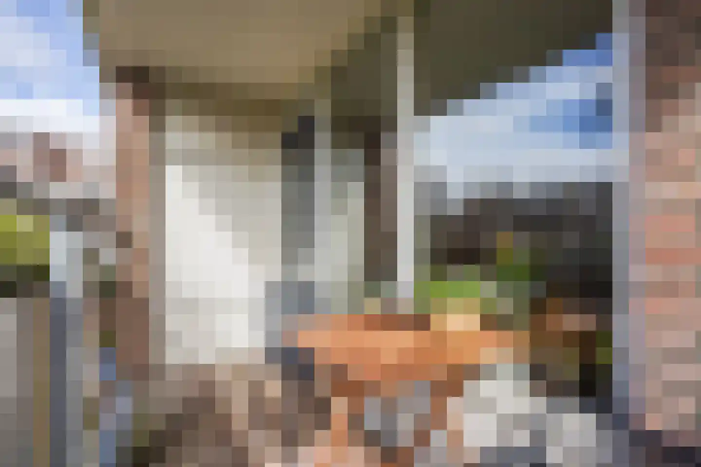 Vestdijkhove 21 Zoetermeer thumbnail 15