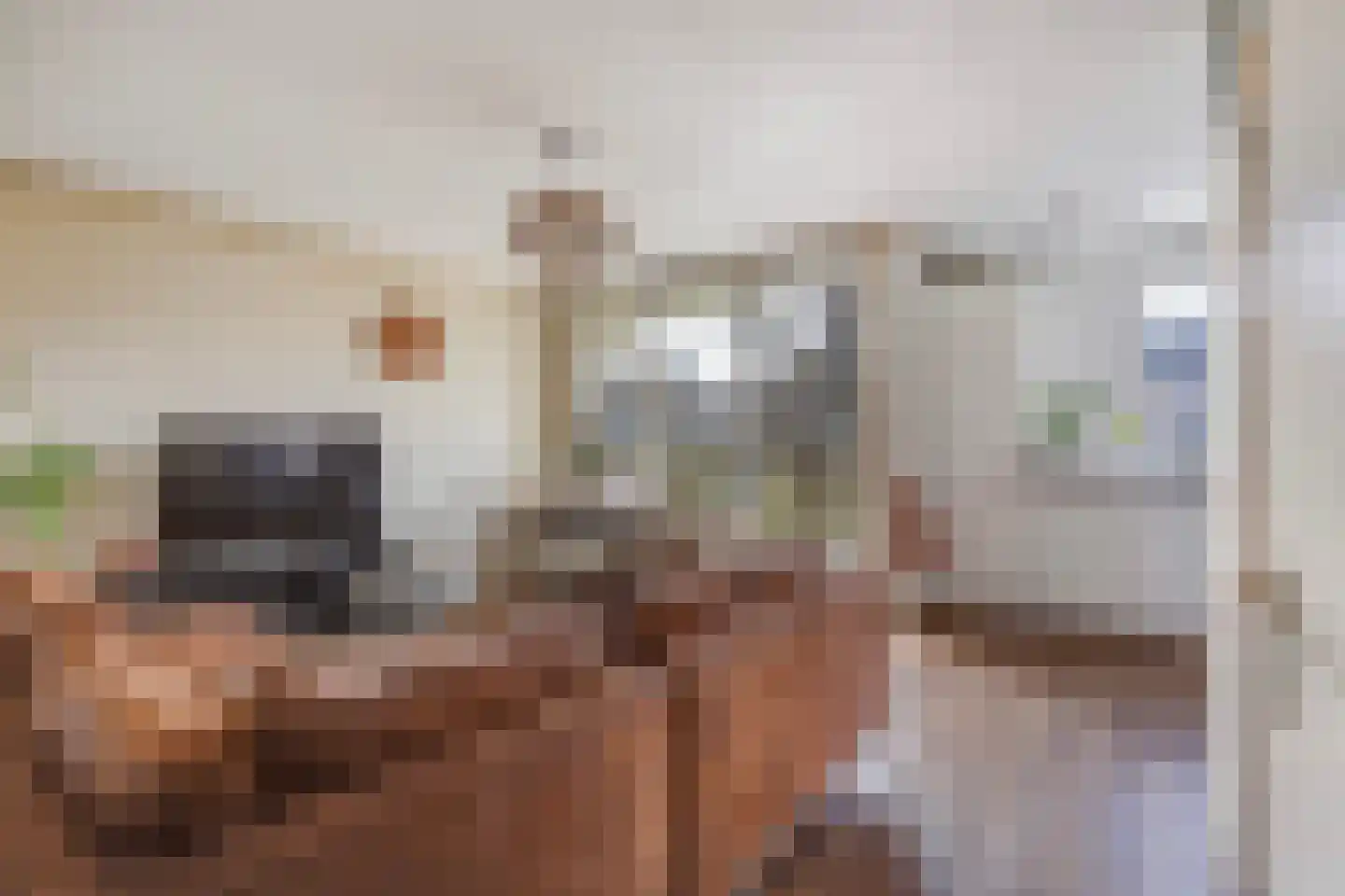 Vestdijkhove 21 Zoetermeer thumbnail 4