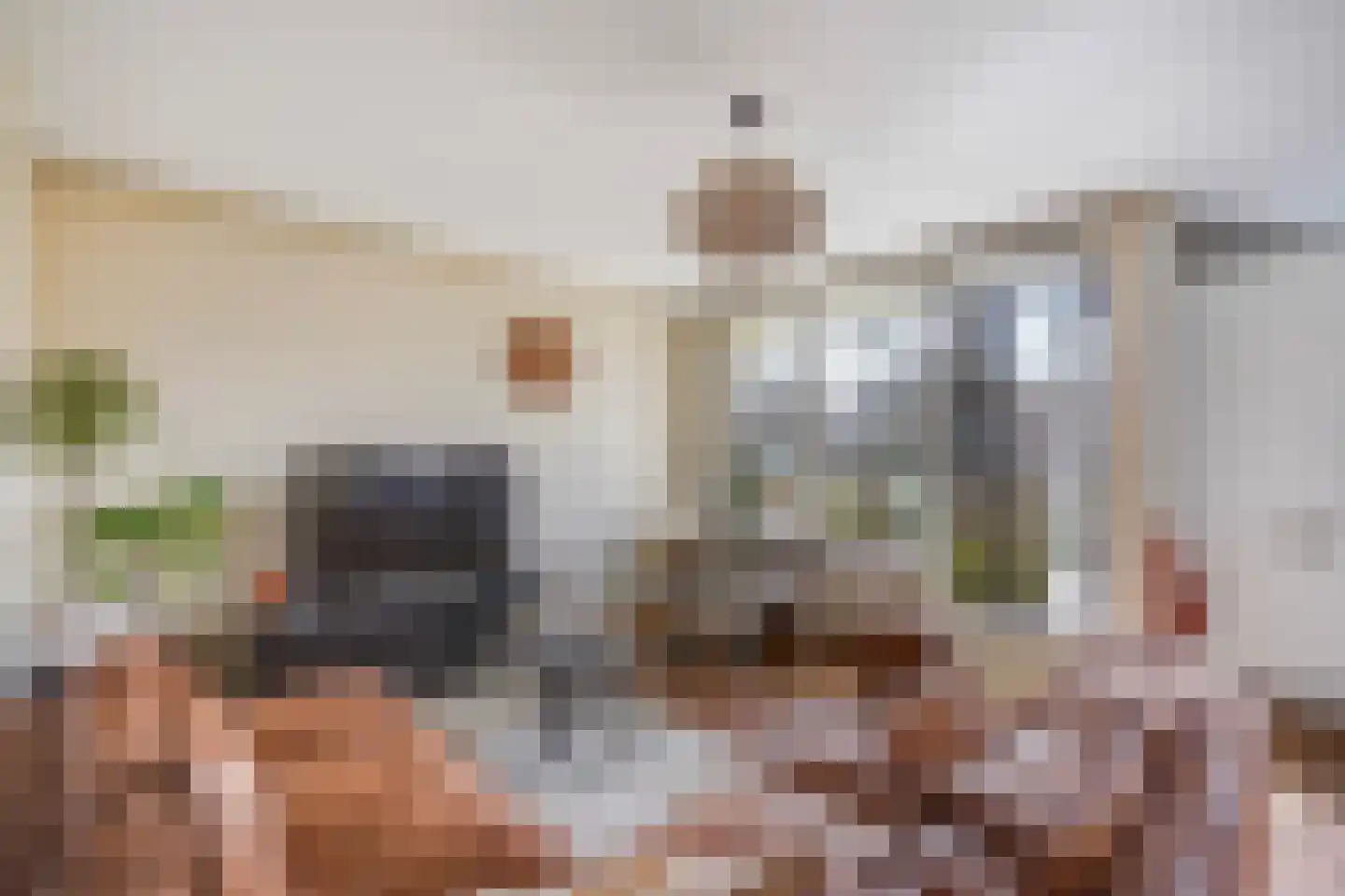 Vestdijkhove 21 Zoetermeer thumbnail 5