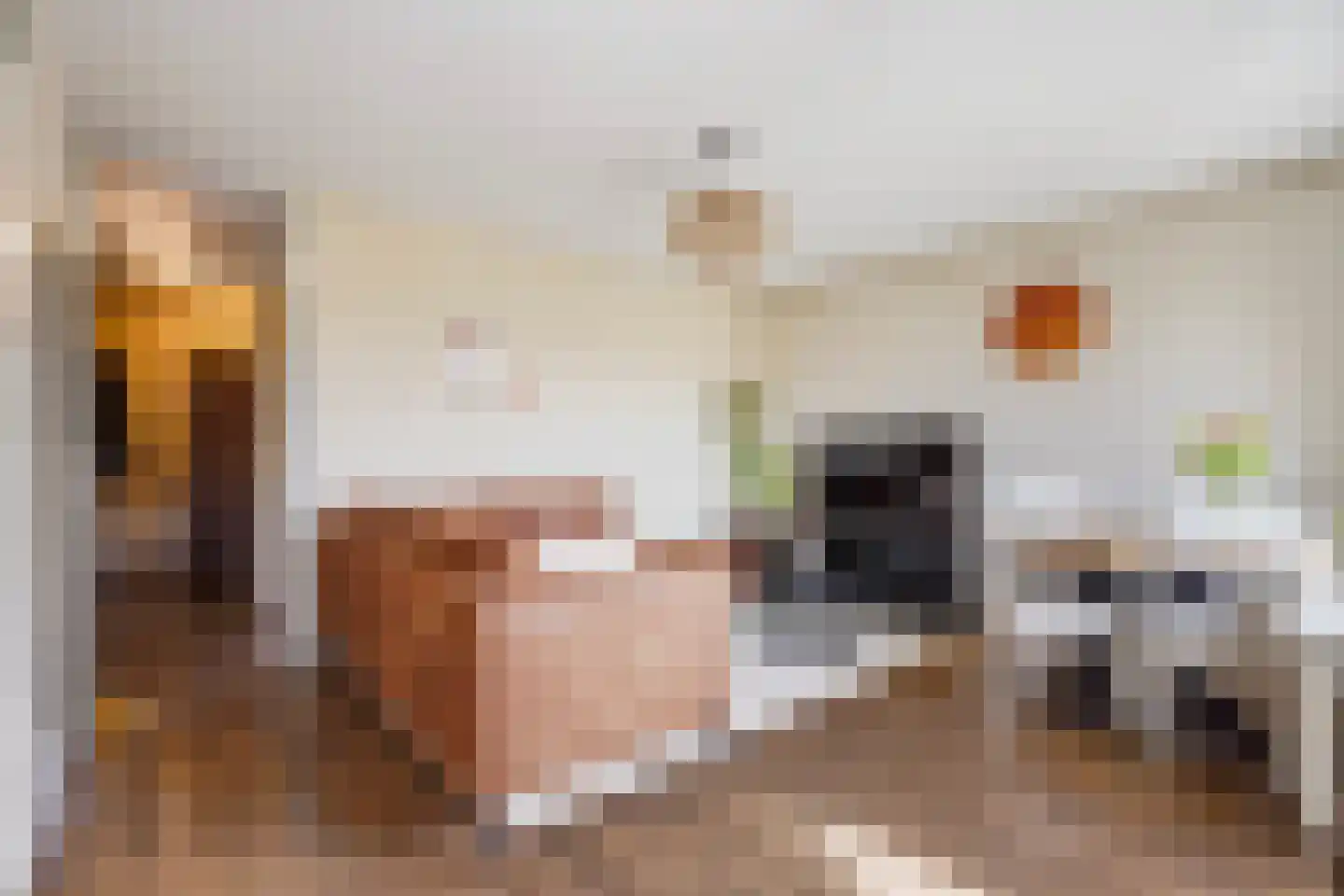 Vestdijkhove 21 Zoetermeer thumbnail 6