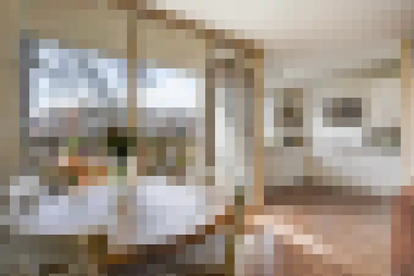 Vestdijkhove 21 Zoetermeer thumbnail 8