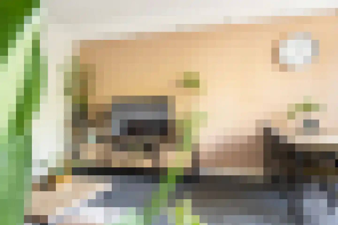Vestdijkhove 3 Zoetermeer thumbnail 10