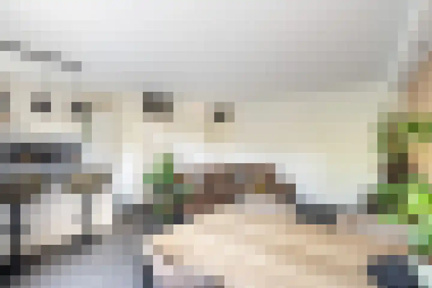 Vestdijkhove 3 Zoetermeer thumbnail 11