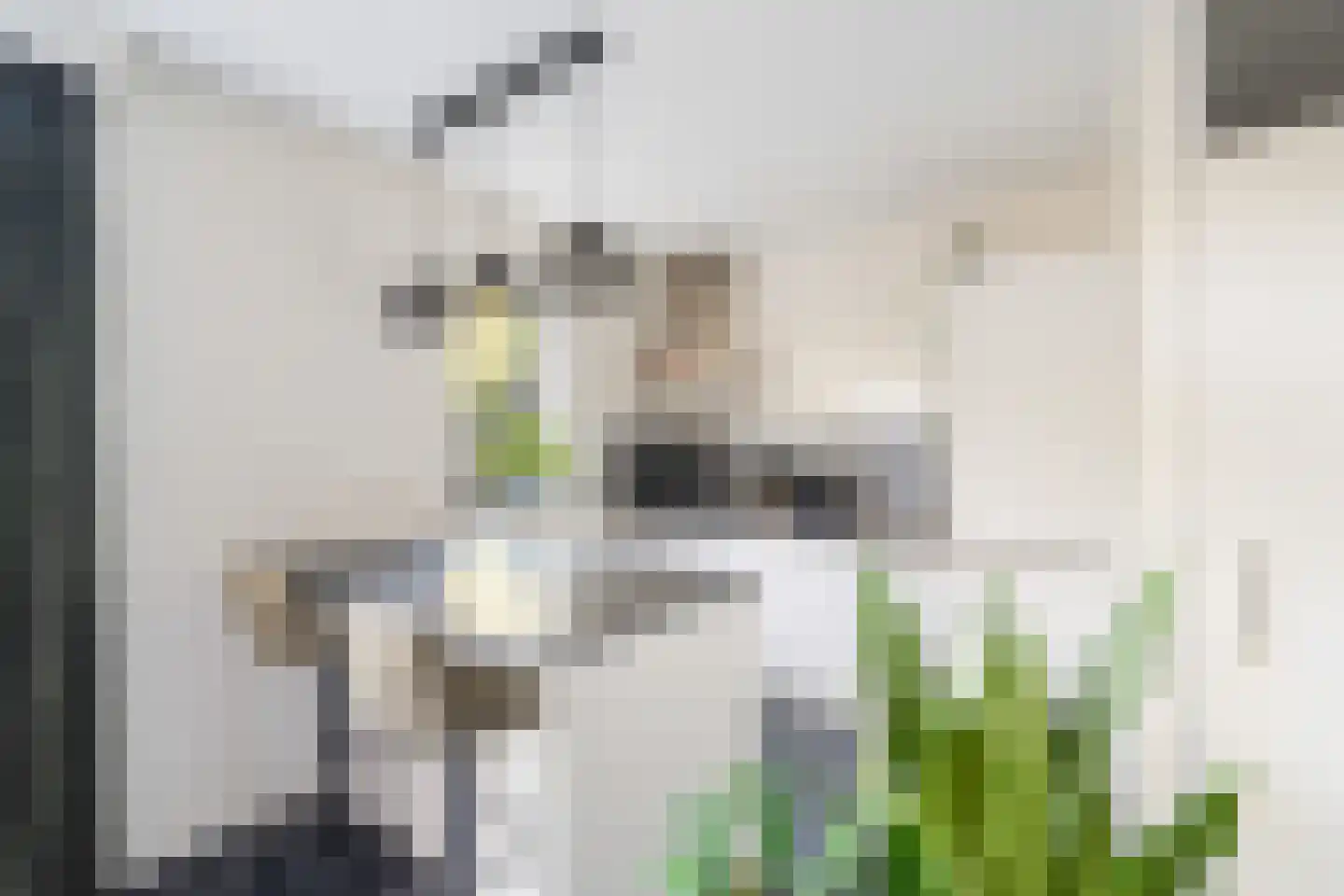 Vestdijkhove 3 Zoetermeer thumbnail 12