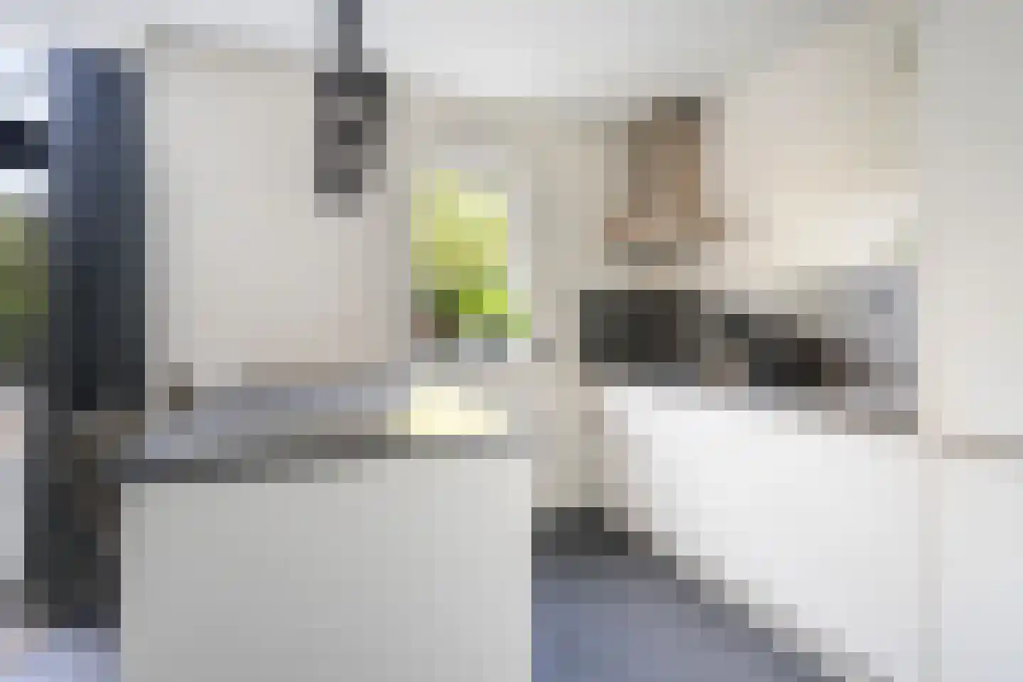 Vestdijkhove 3 Zoetermeer thumbnail 13