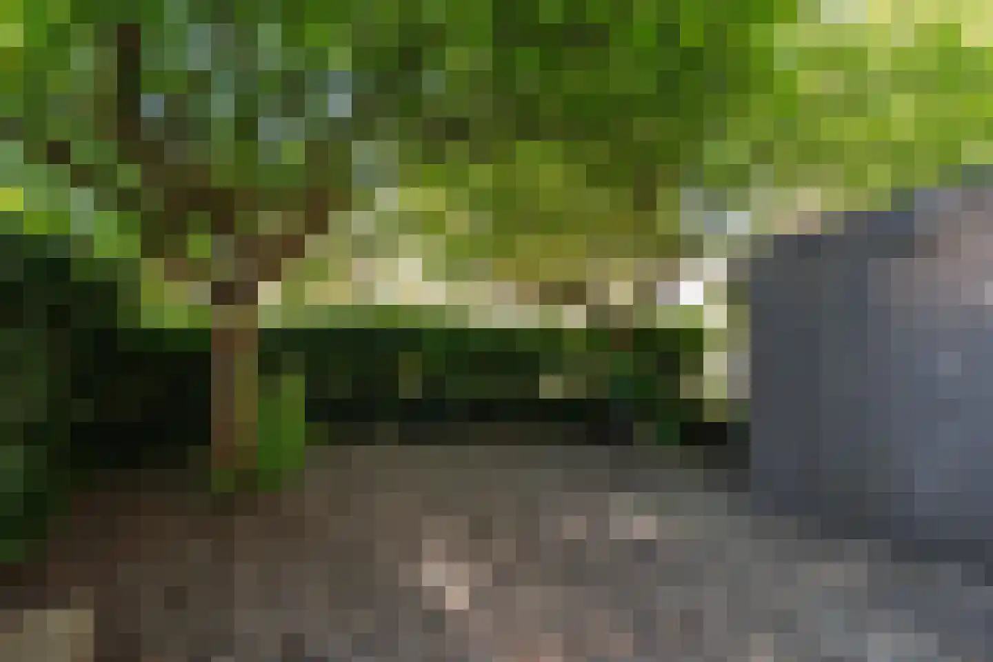 Vestdijkhove 3 Zoetermeer thumbnail 19