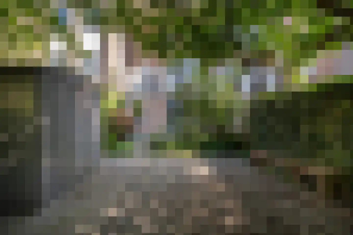 Vestdijkhove 3 Zoetermeer thumbnail 20