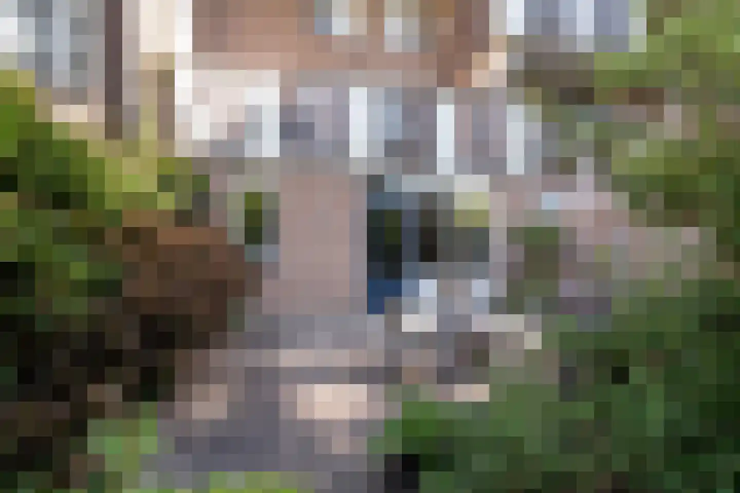 Vestdijkhove 3 Zoetermeer thumbnail 22