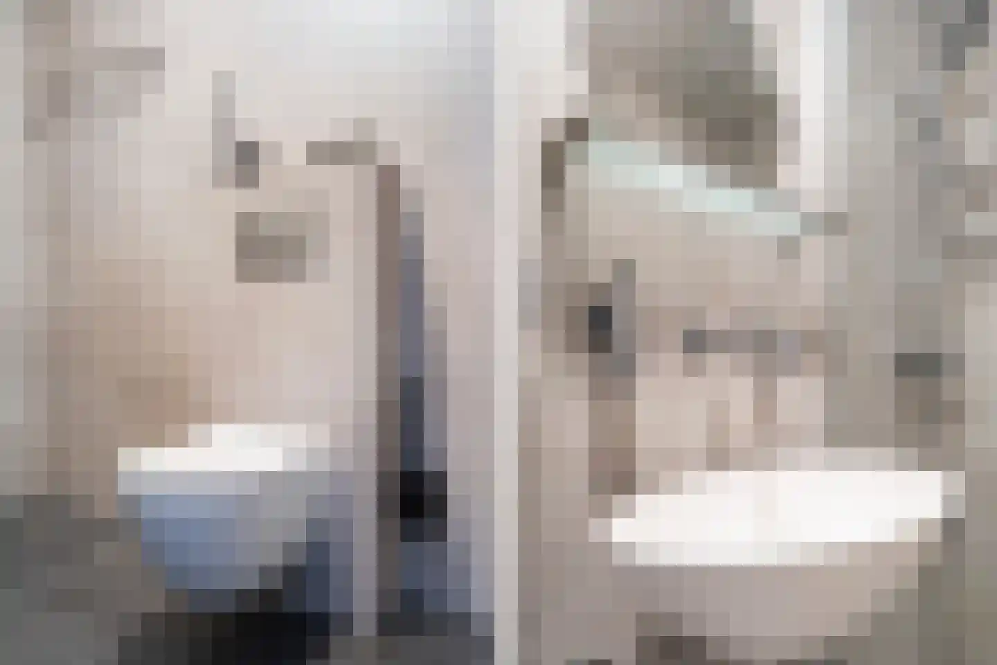 Vestdijkhove 3 Zoetermeer thumbnail 29