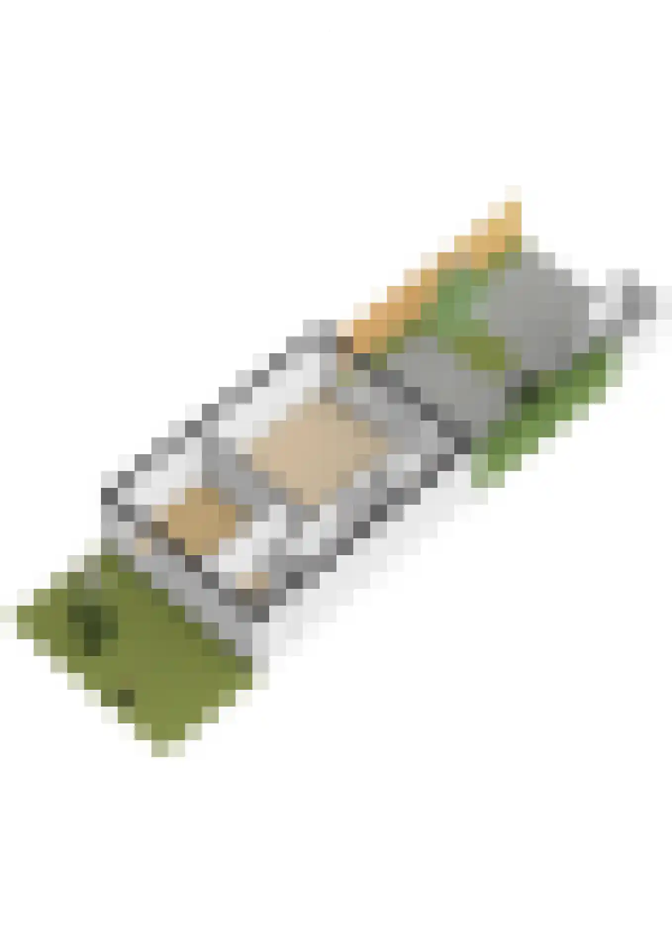Vestdijkhove 3 Zoetermeer thumbnail 38