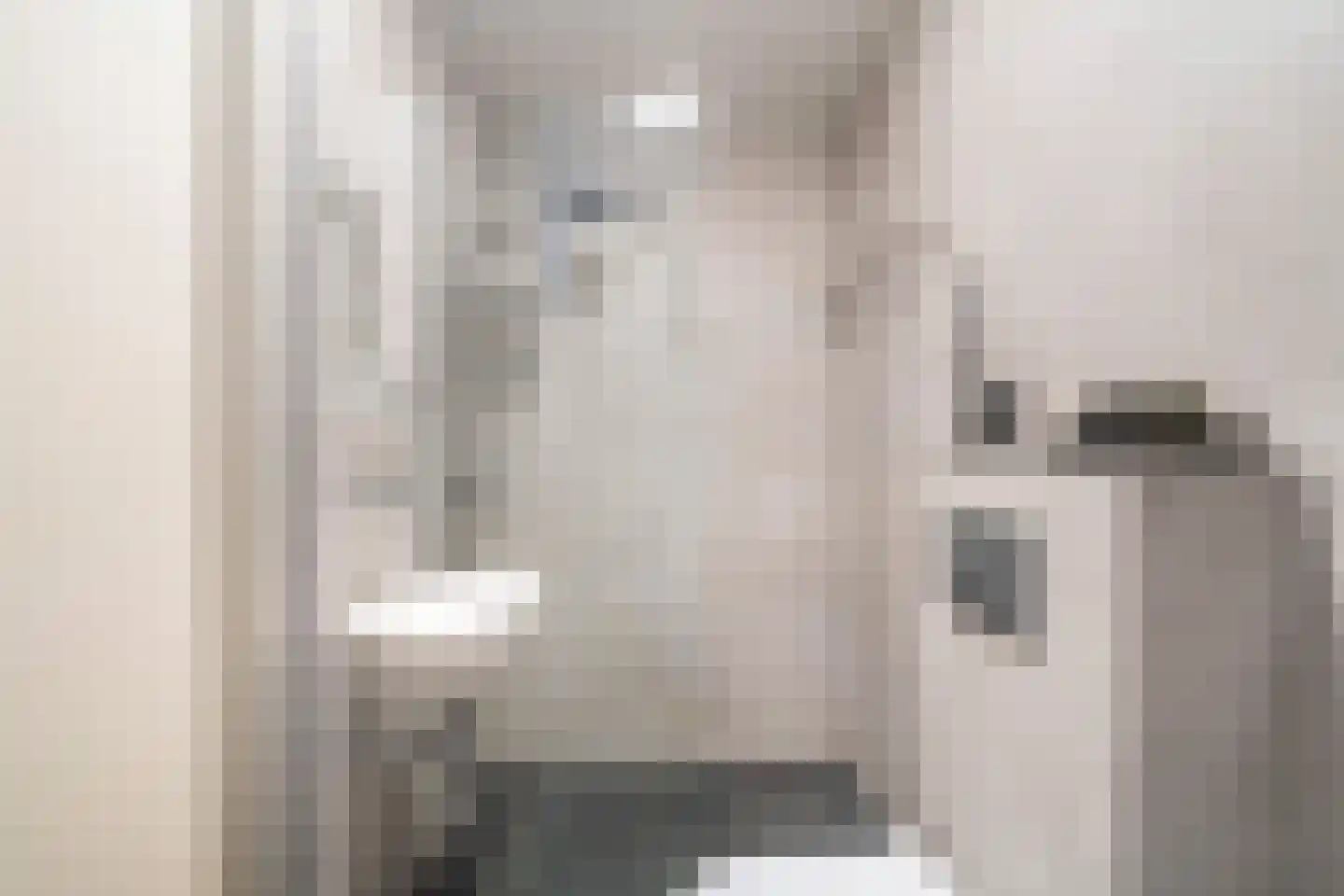 Vestdijkhove 3 Zoetermeer thumbnail 4